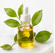 Pure Organic Jojoba Oil